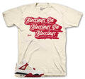 Retro 4 Brick After Brick Blessings Shirt