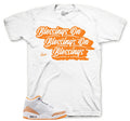 Retro 3 Orange Citrus Blessings Shirt